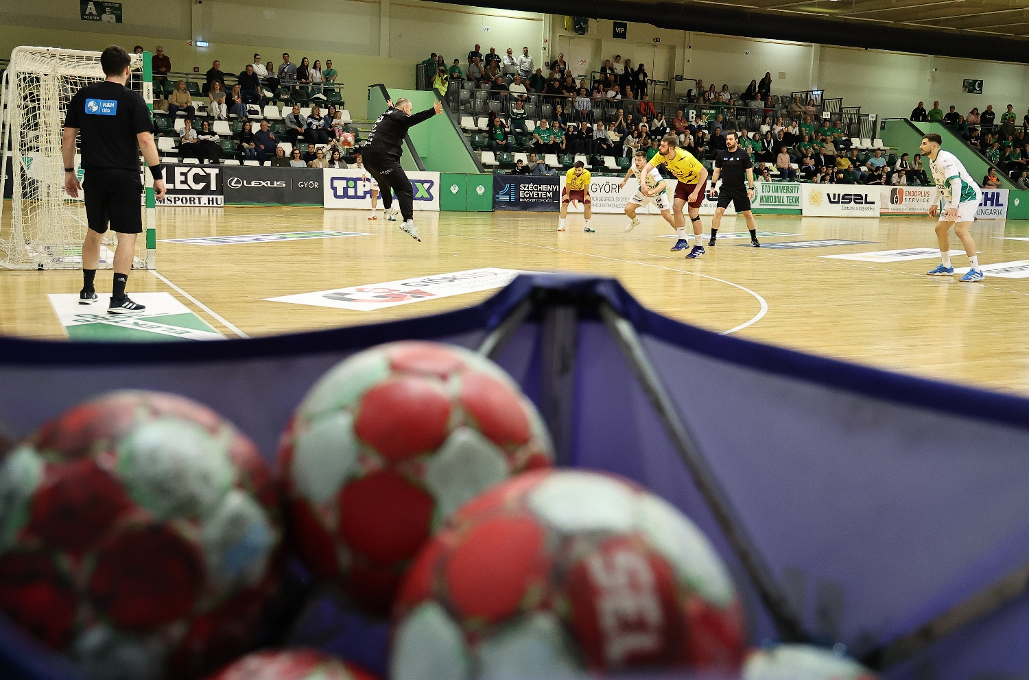 Farkasok után, farkasok előtt